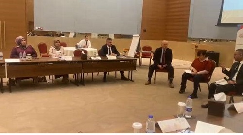 Partnership to strengthen the national plan for human rights in Iraq
