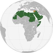  ندوة : الجامعة العربية وادارة الازمات العربية الراهنة